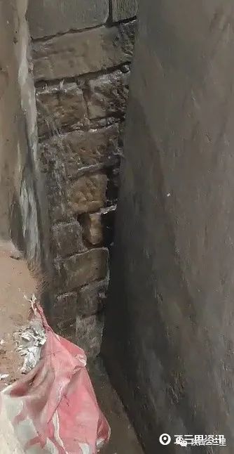 DƬ